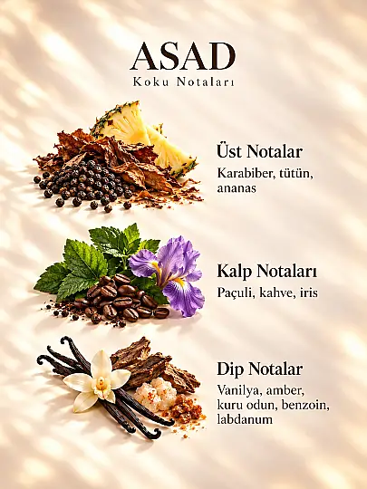 Asad Edp 100 Ml Erkek Parfüm - 3