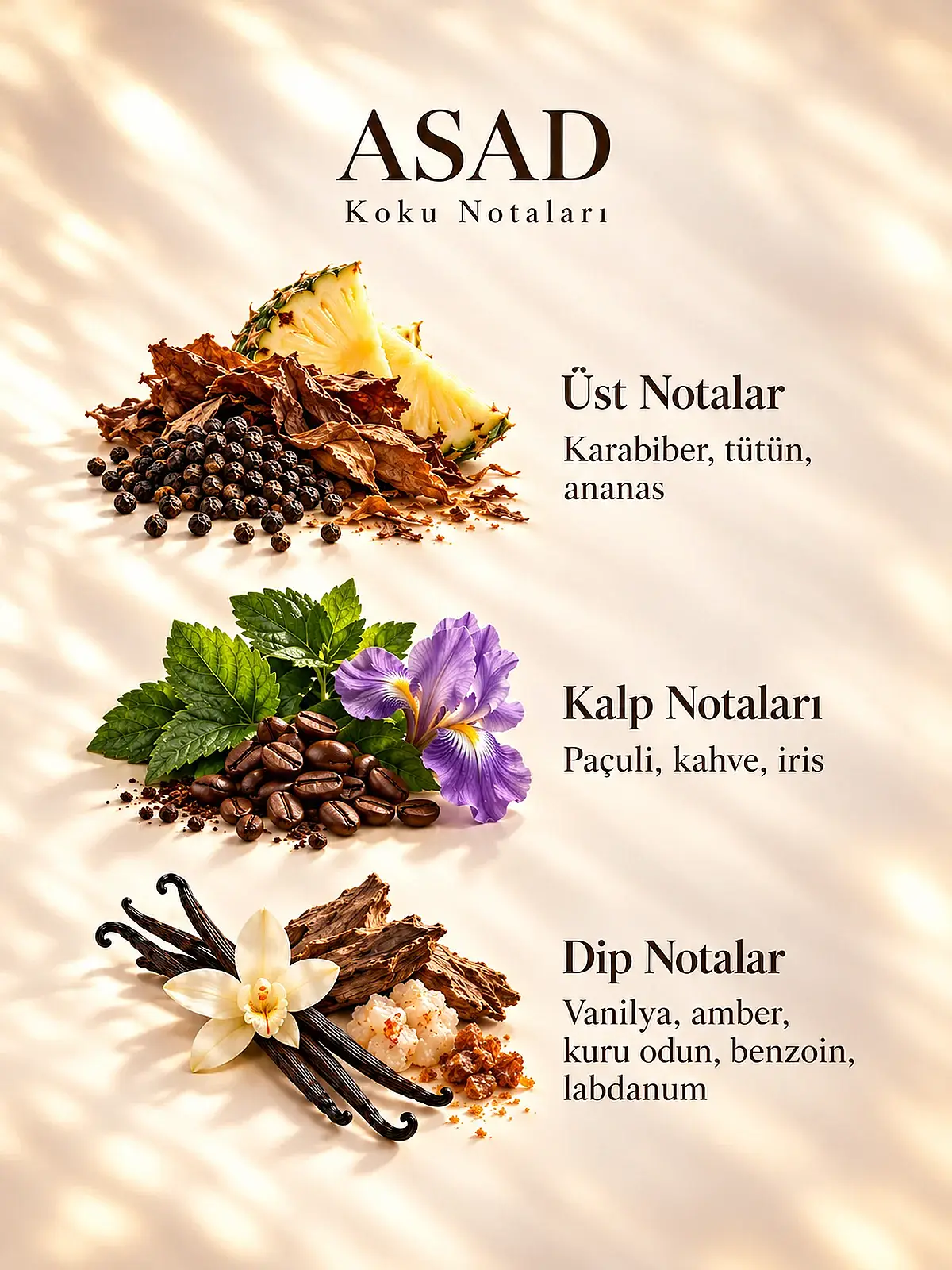Asad Edp 100 Ml Erkek Parfüm - 3