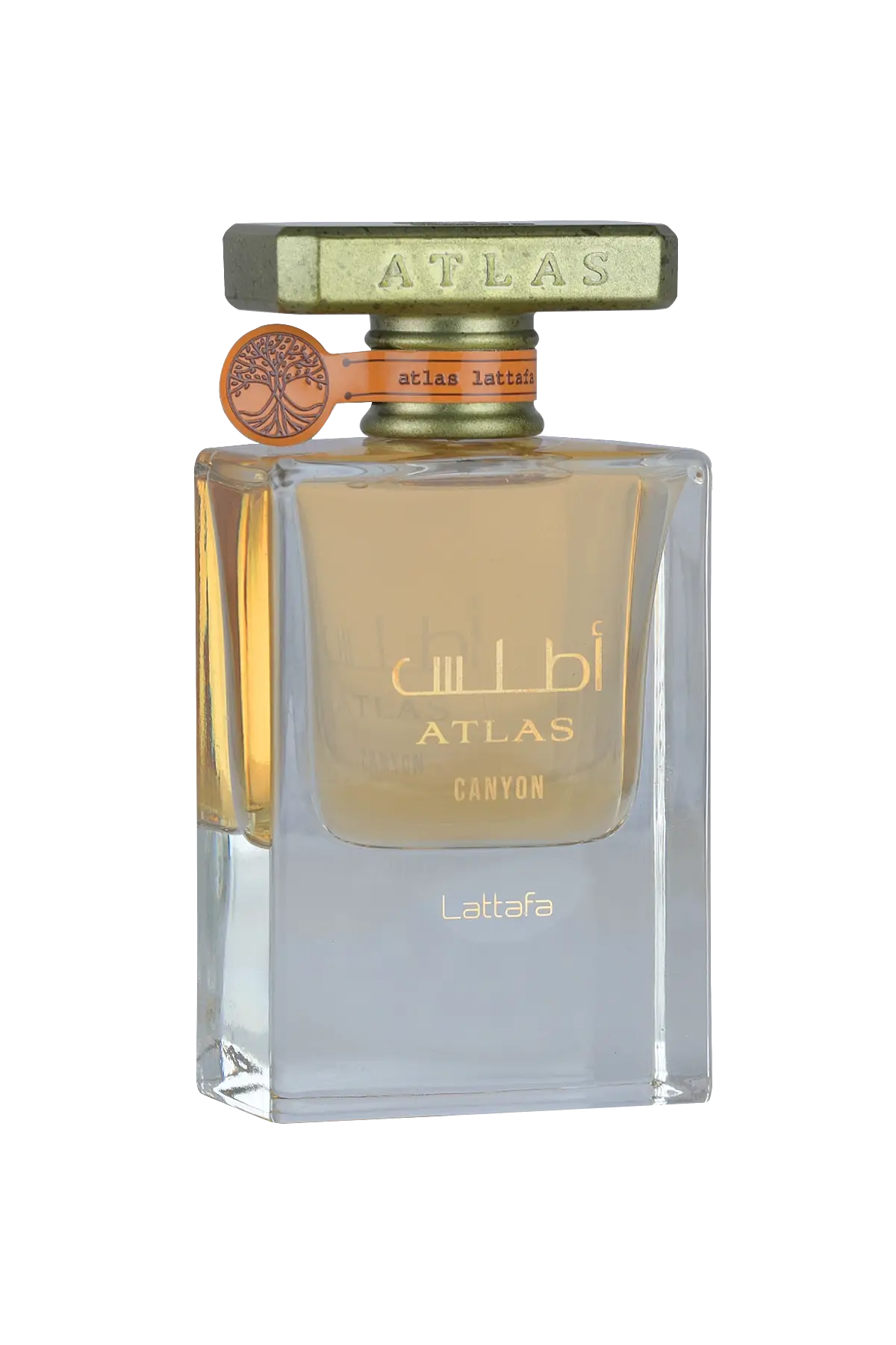 Atlas Canyon Edp 55 Ml Unisex Parfüm - 1