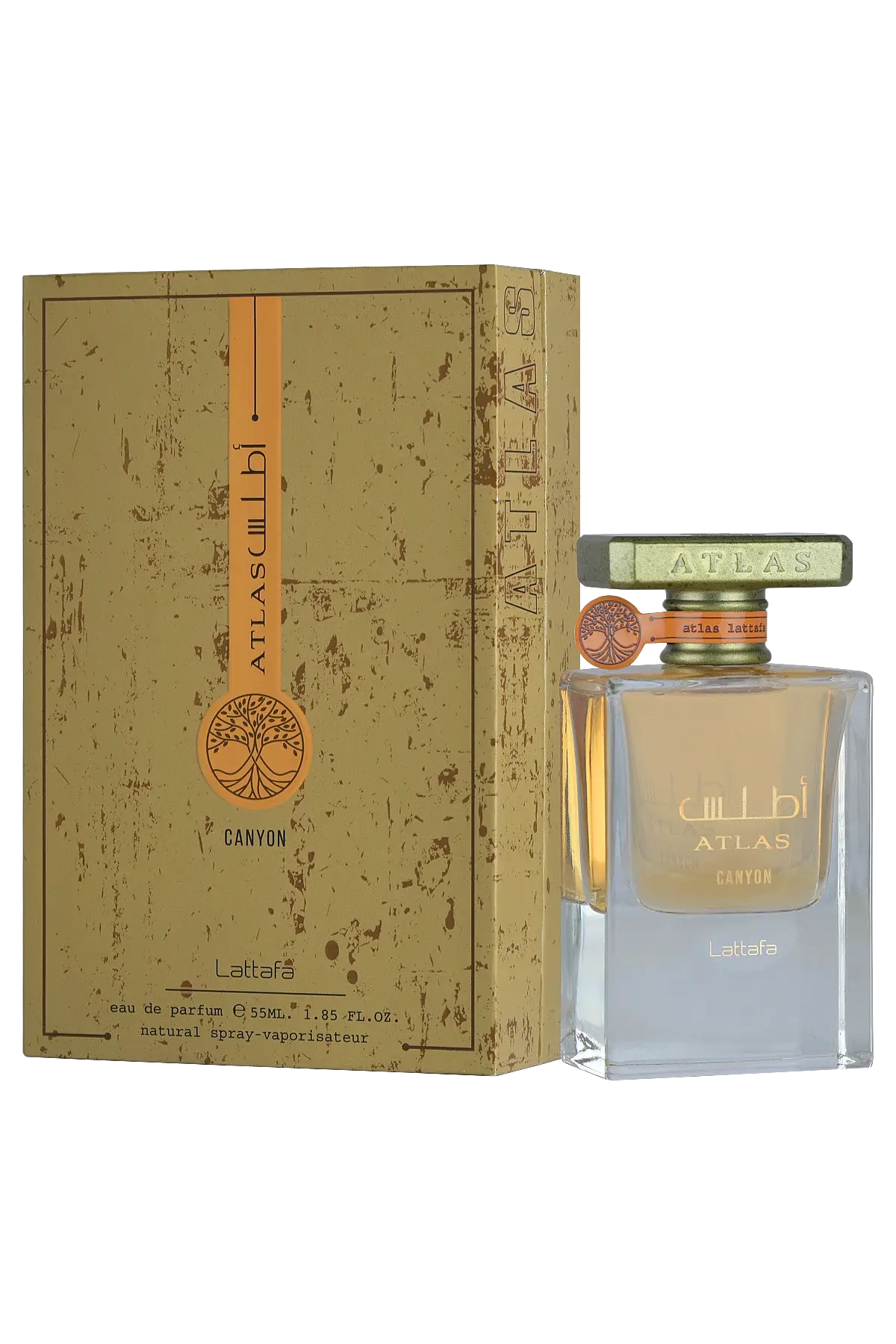 Atlas Canyon Edp 55 Ml Unisex Parfüm - 3